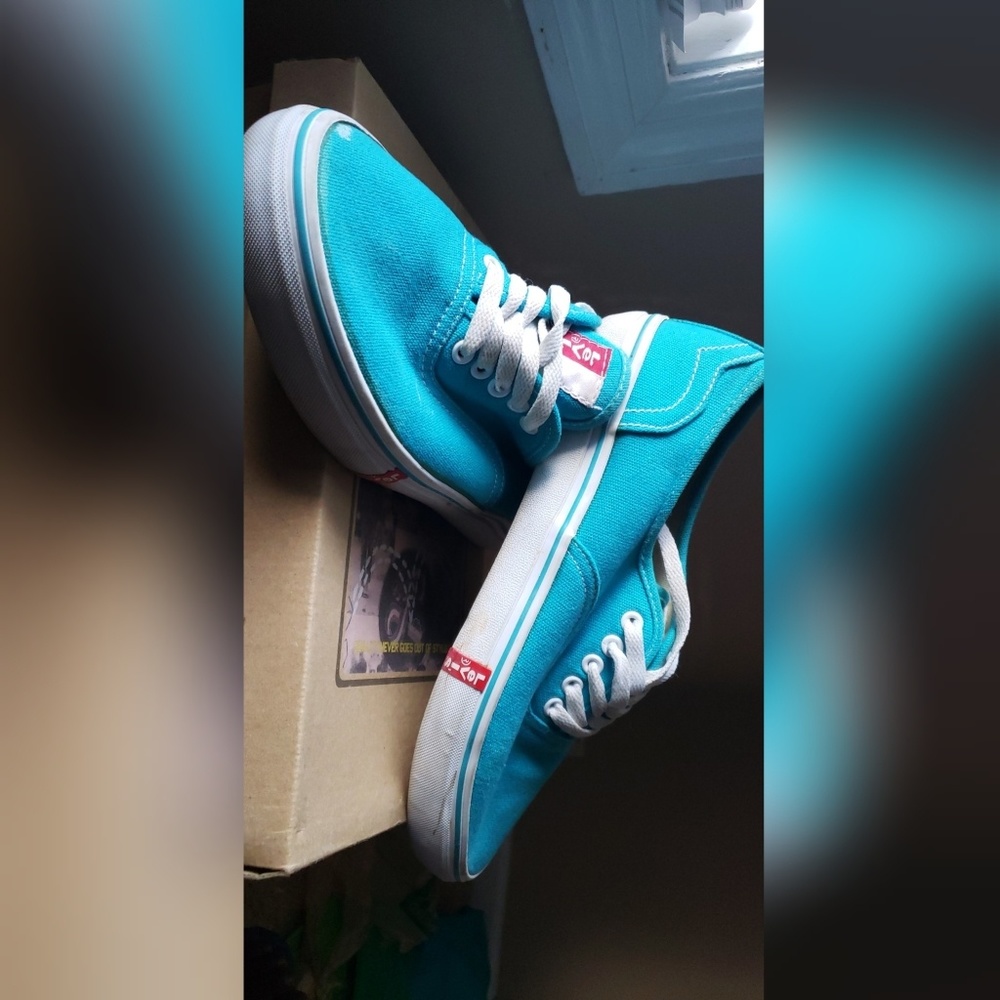 Levi's Canvas Shoes
